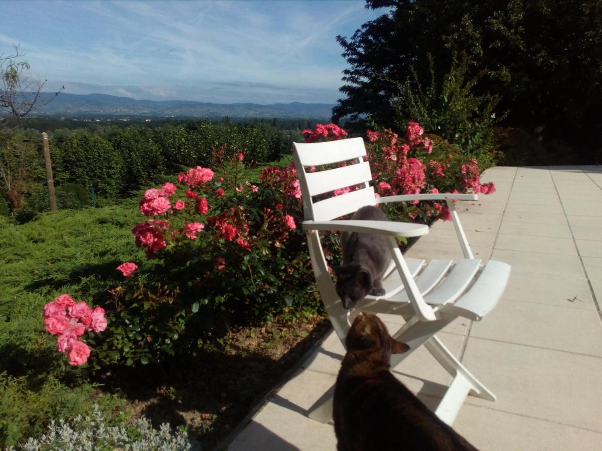 Mogneneins B&B Chez Frederique Et Norbert المظهر الخارجي الصورة